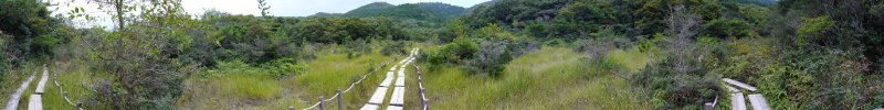 panorama view of Imou bog