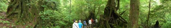 panorama view of Yakushima